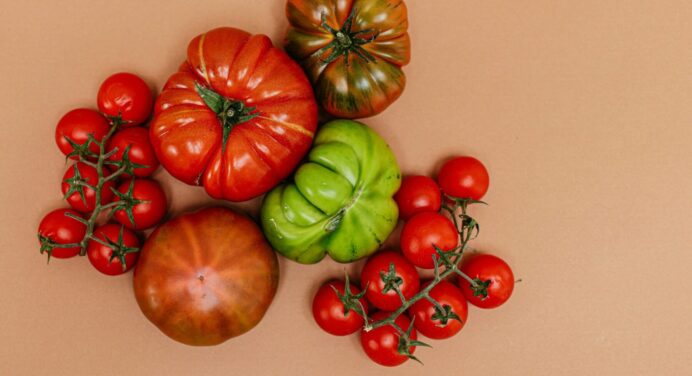 Городникам на замітку: ТОП-5 найкращих сортів помідорів – вони врожайні, м’ясисті і смачні 