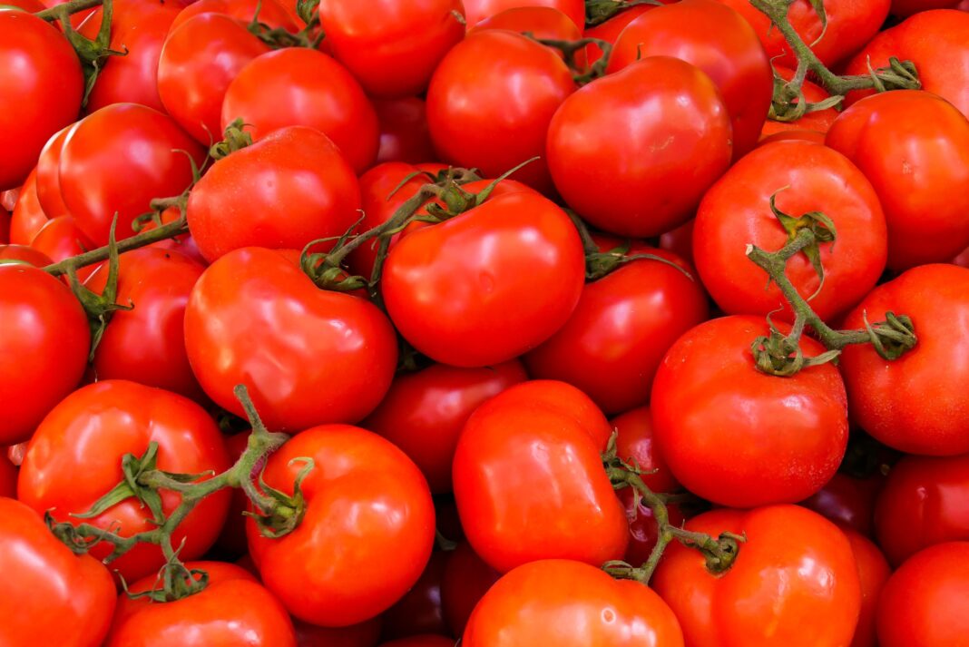 Експерти назвали ТОП-5 найкращих сортів помідорів