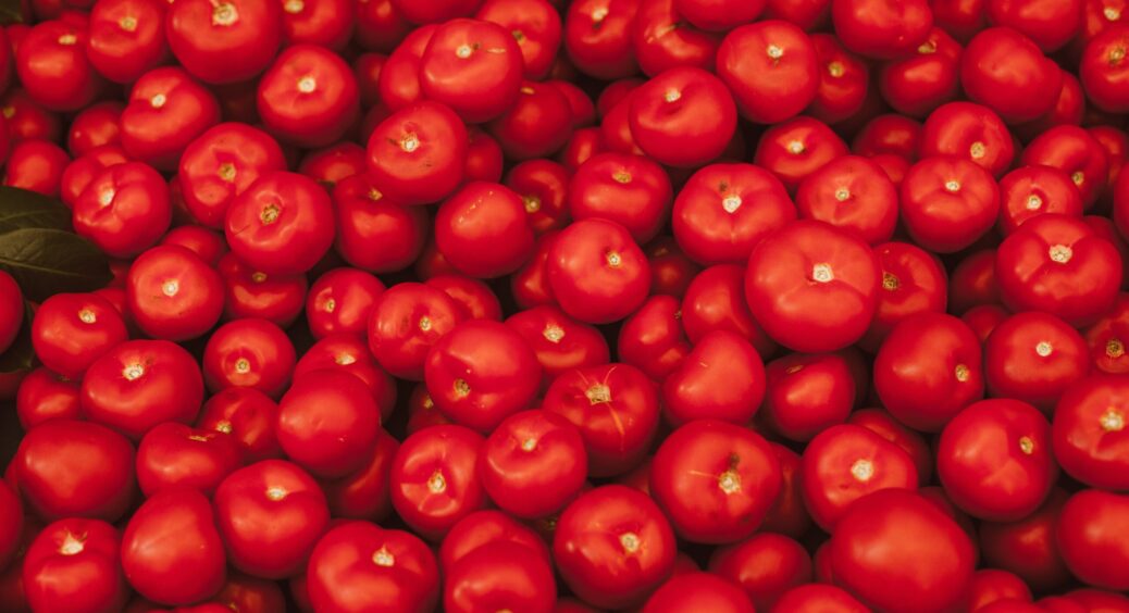 Огляд сортів помідорів: 5 гібридів з м’ясистими та соковитими плодами. Стійкі до посухи і високих температур 
