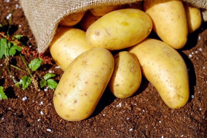Експерти розповіли, чому картоплю слід варити з оцтом