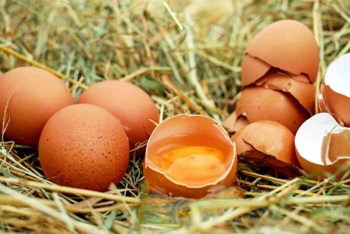 Чому в яйцях виникають червоні чи коричневі цятки