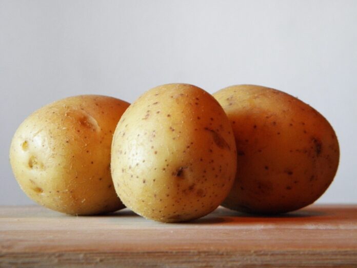 Поруч із якими овочами не можна садити картоплю