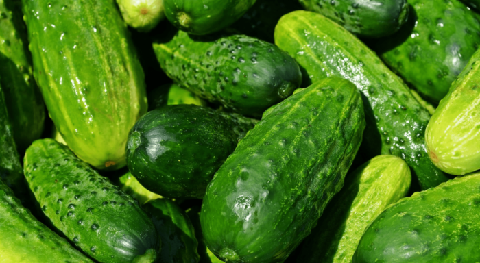 Чим підкормити огірок для хорошого врожаю