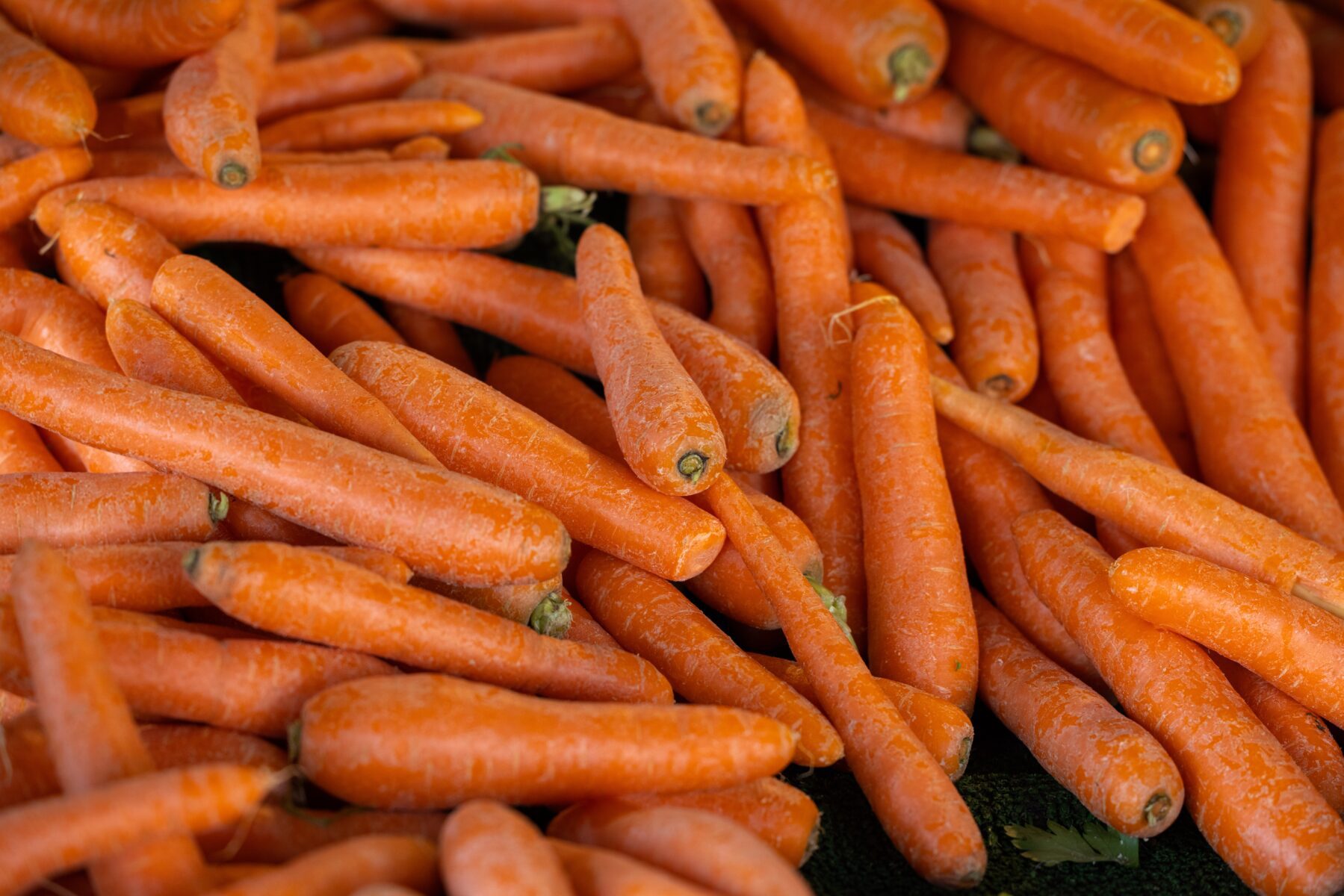 Ідеальна підкормка для моркви, щоб був багатий врожай
