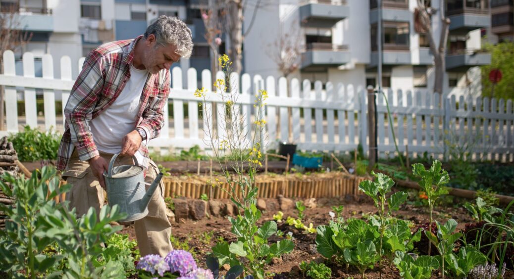 Місячний посівний календар на червень 2023 року: найврожайніші дні для посадки картоплі, цибулі та моркви 