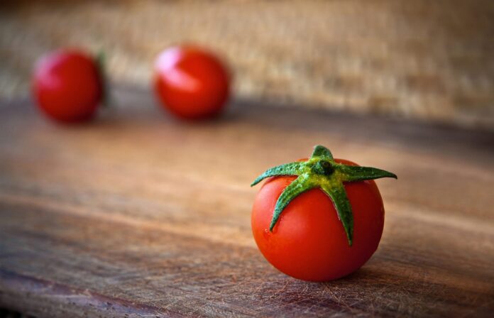 Як та коли правильно пасинкувати томати 