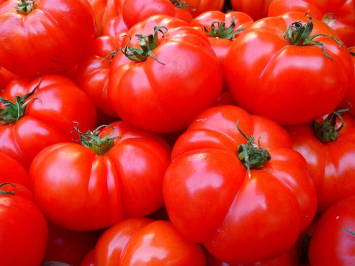 Експерти розповіли, як підживлювати розсаду помідорів