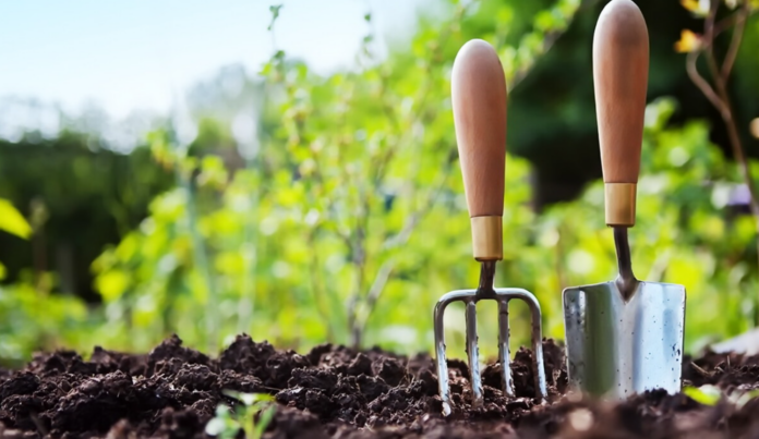 Посівний календар на липень 2023 Посівний календар на липень 2023