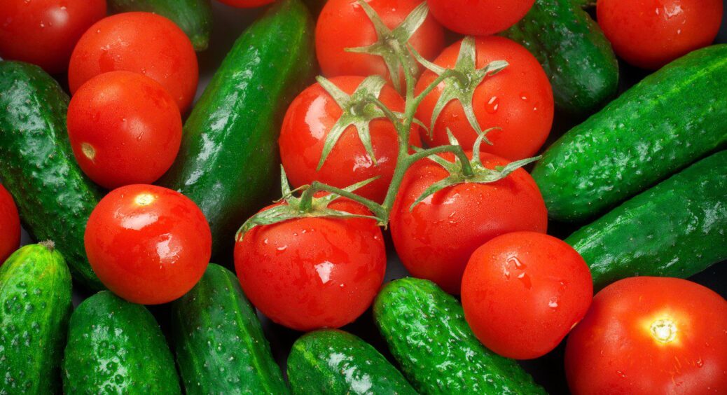 Як підвищити родючість огірків і помідорів: підживіть овочі дріжджами та готуйте багато відер для збору врожаю 