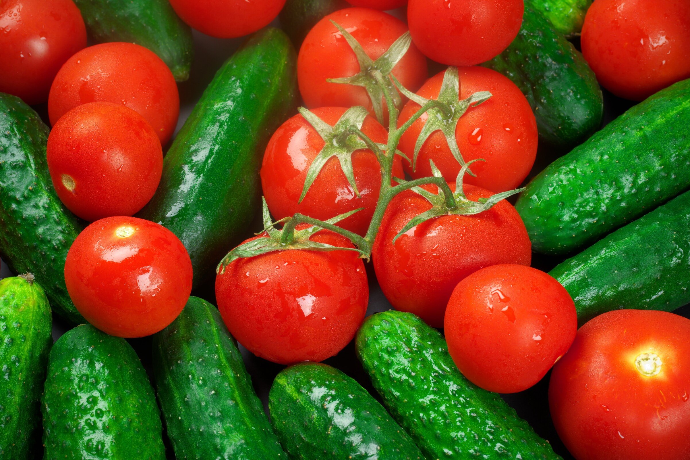 Експерти розповіли про методи захисту томатів та огірків від захворювань