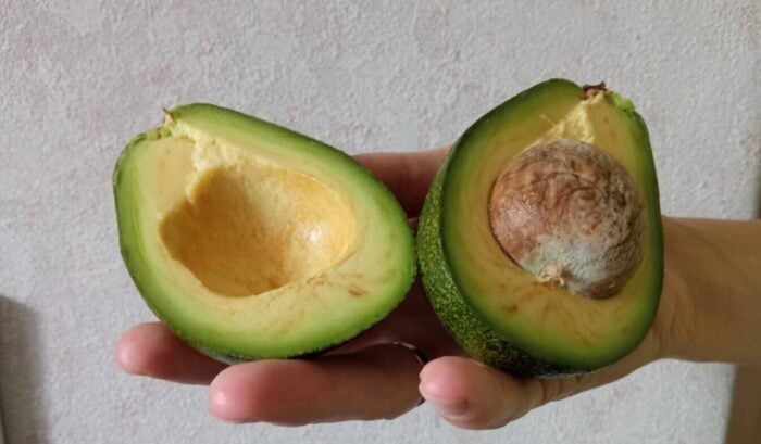 Як виростити смачне авокадо з кісточки вдома