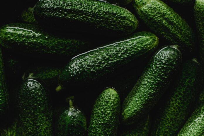 Найкращі сорти огірків для вирощування на ділянці Найкращі сорти огірків для вирощування на ділянці