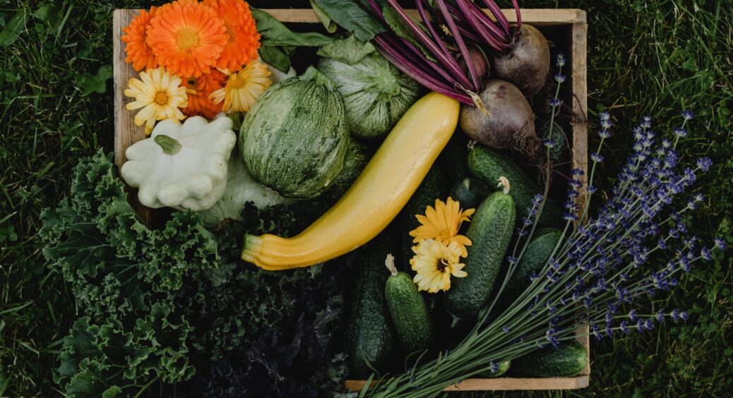 Як сушити овочі на зиму: плюси та мінуси, техніка сушіння, яка дозволить подовше зберігати врожай 