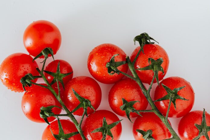 Як виростити солодкі та соковиті помідори