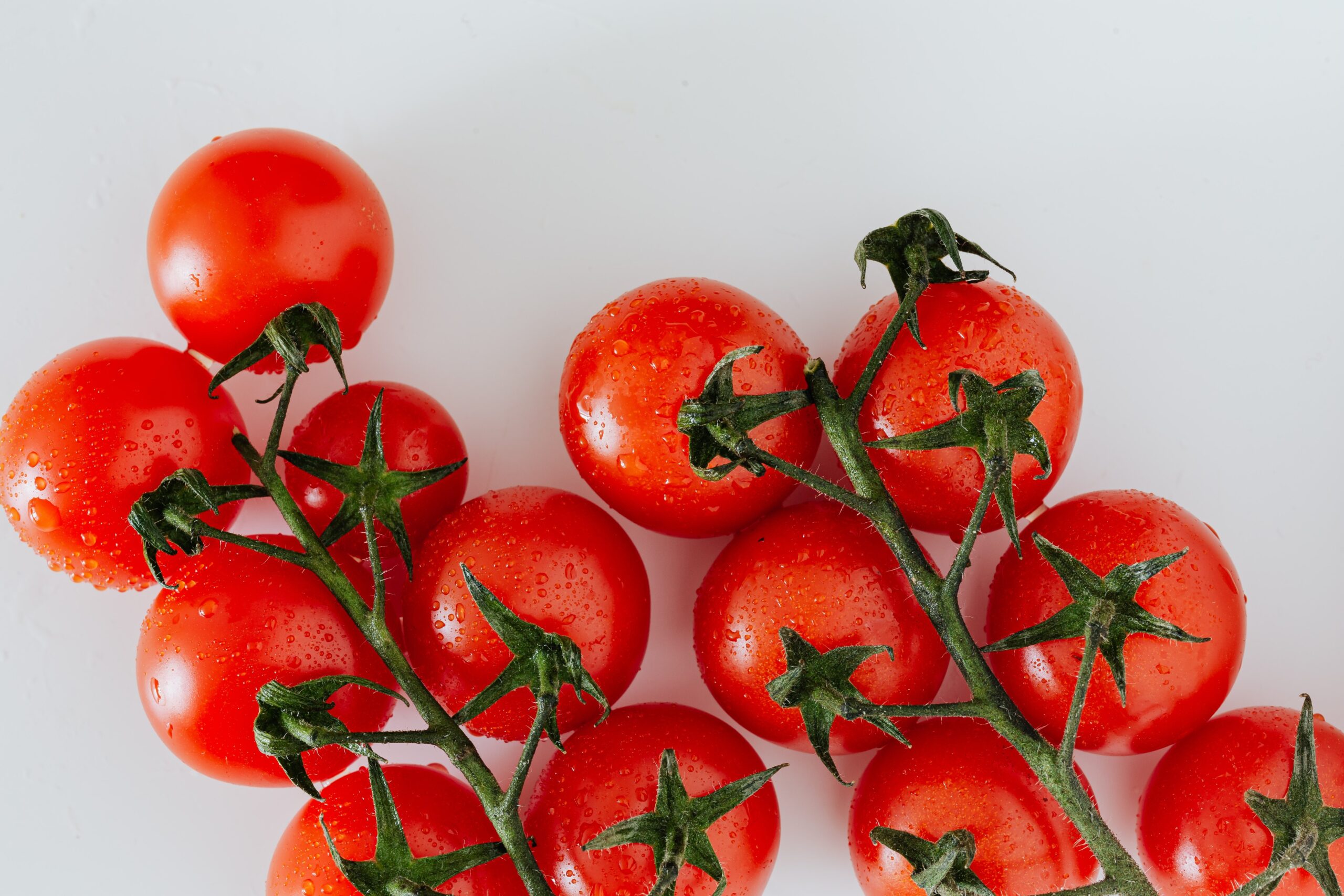 Як правильно поливати помідори в серпні