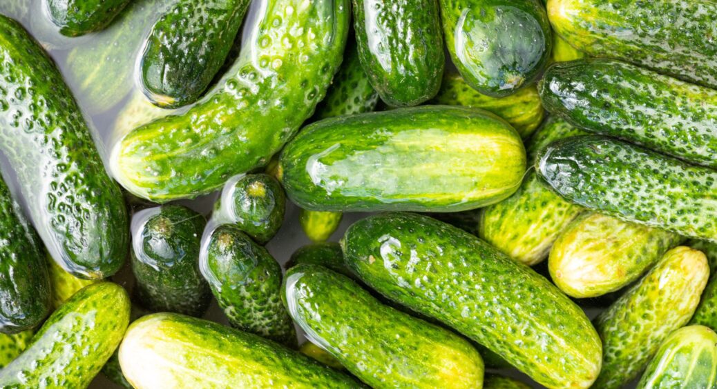 Втомитеся збирати врожай по відру з кущика. Три найкращих підкормки для огірків, щоб росли як на дріжджах 