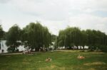 Події у світі, релігійні свята, іменини 30 липня 