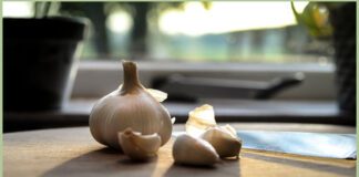 Часник не тільки приправа, а й цінний овоч на городі