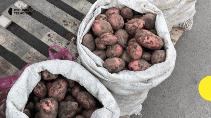 Досвідчені городники поділилися порадами щодо поливу та підживлення картоплі Досвідчені городники поділилися порадами щодо поливу та підживлення картоплі