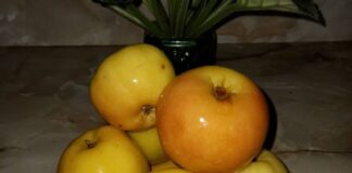 Як приготувати смачні солоні яблука на стіл 