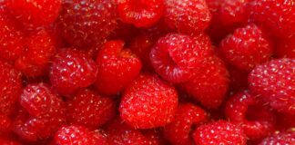 Садівник розповів, як допомогти малині перенести морози