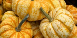 Кухар розповів, як зберігати гарбузи без холодильника