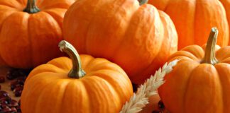 Городники розповіли, як правильно зберігати гарбуз взимку