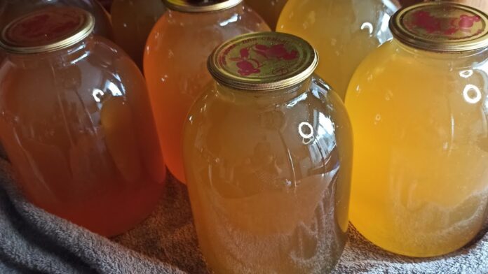 Як приготувати смачний Живчик із власних яблук у домашніх умовах Як приготувати смачний Живчик із власних яблук у домашніх умовах