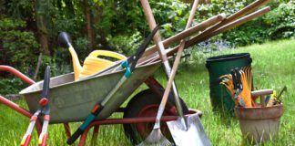 Городники розповіли, як використати бадилля в якості добрива