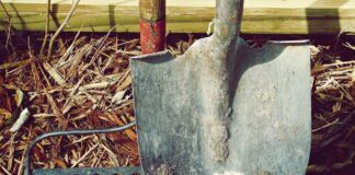 Городник підказав, як за допомогою добрива розрихлити землю