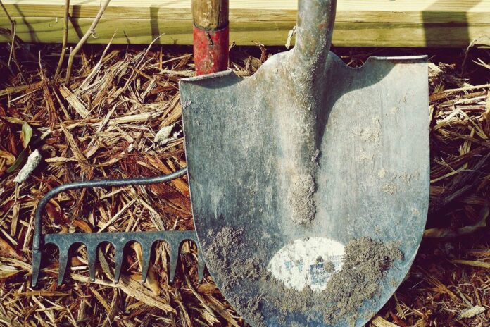 Городник підказав, як за допомогою добрива розрихлити землю Городник підказав, як за допомогою добрива розрихлити землю