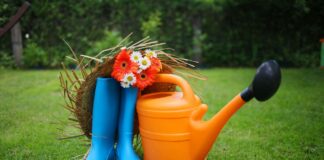 Городник назвав список необхідних робіт на городі у вересні