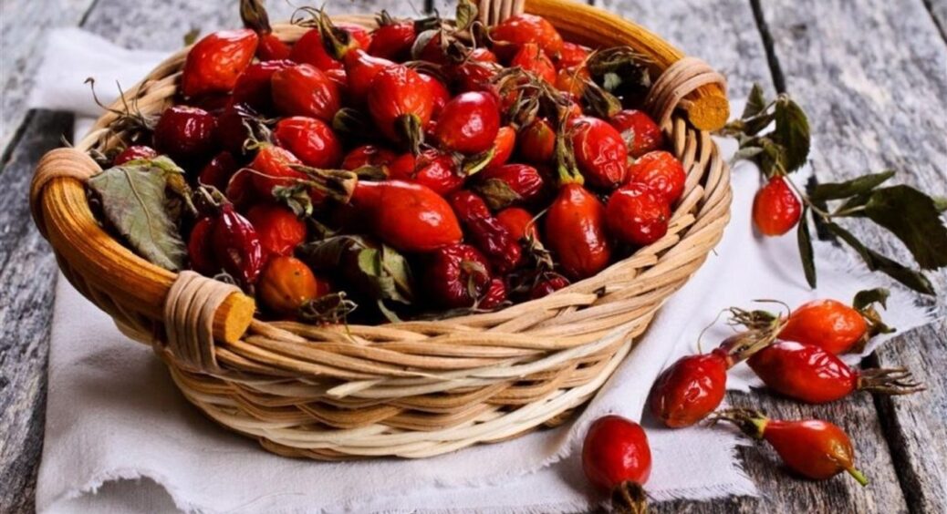 Варення з шипшини стало моїм улюбленим: готую за простим рецептом його тепер кожного року 