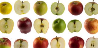 Садівник назвав ТОП-5 сортів найродючіших яблунь