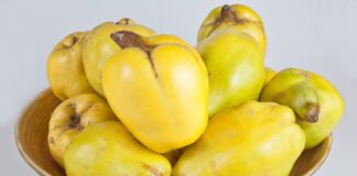 Цікаві факти про айву, які повинен знати кожен садівник