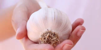 Додала це добриво і часник росте, як на дріжджах: найкраща підкормка за перевіреним рецептом