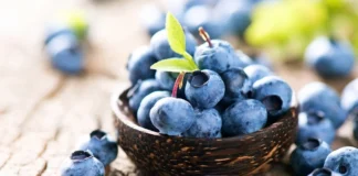 Городник розповів, як правильно підготувати лохину до осені