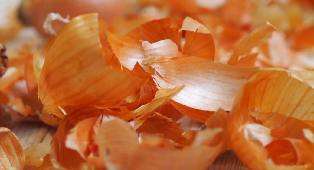 Більше не викидаю лушпиння з цибулі: показую, як з відходів зробити відмінне добриво для городу 