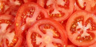 Городник розповів, яким добривом не можна підживлювати томати