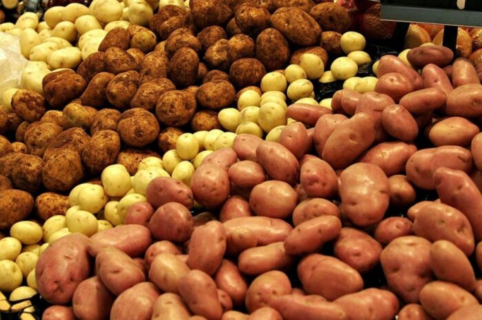 Порада експертів: як виростити здорову та велику картоплю