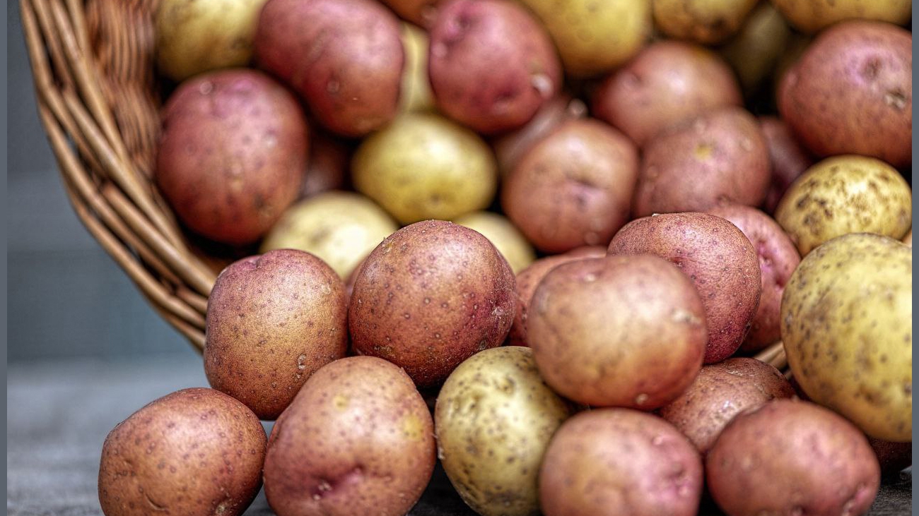 Правильне зберігання картоплі - це ключ до її свіжості та корисності