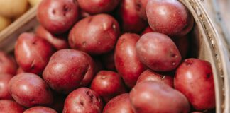 Рейтинг найпопулярніших сортів картоплі