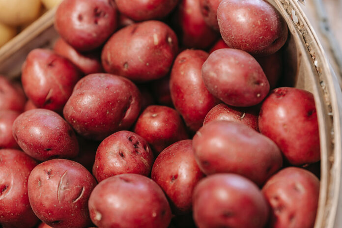 Рейтинг найпопулярніших сортів картоплі