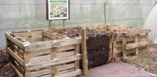 Садівники розповіли, що не можна кидати у компостну яму 