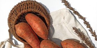 Городник розповів, чому вигідніше саджати на дачі батат