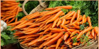 Коли правильніше збирати врожай моркви: залежить від температури  