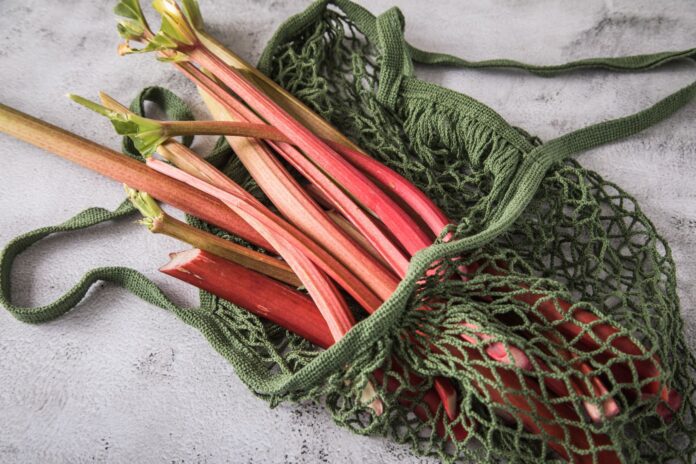 Городник порадив універсальний сорт ревеню для випічки