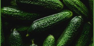 Експерти назвали овочі, які не можна садити на місці огірків