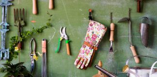 Садівник розповів, як правильно готувати інструмент до зими