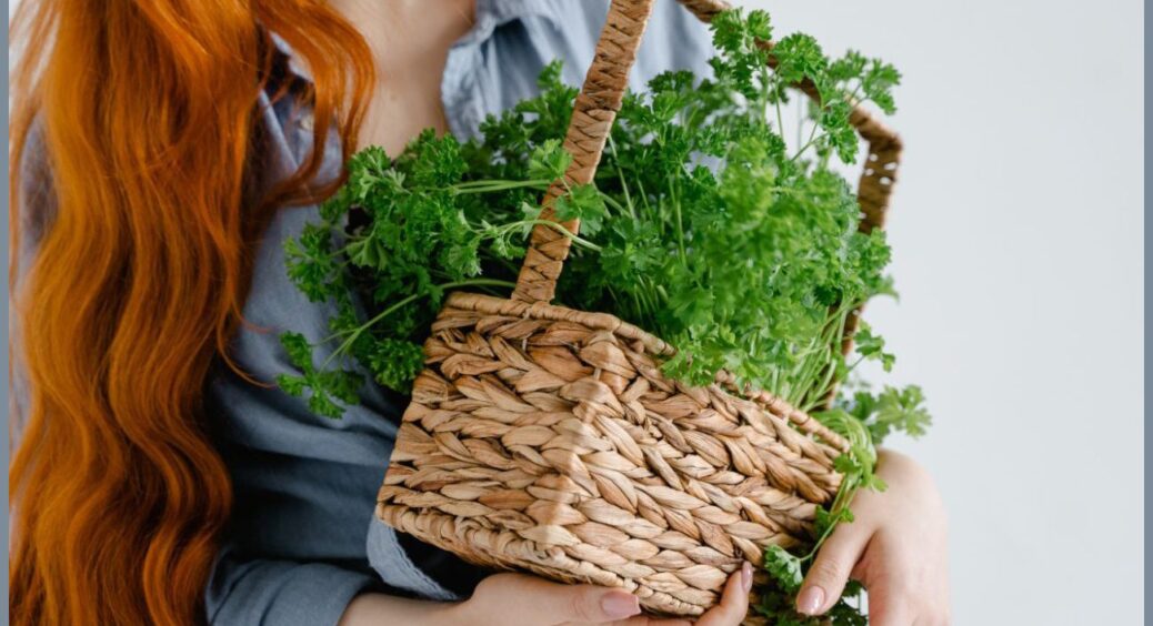 Консервація на зиму без зайвих зусиль: улюблена зелень в одній банці. Готую без солі за бабусиним рецептом 